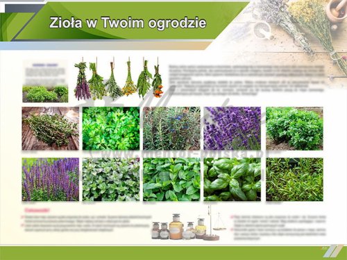 TE9-02 Zioła w Twoim ogrodzie.jpg