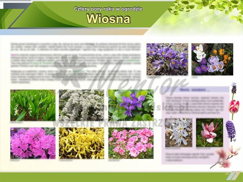 TE9-03 Wiosna w ogrodzie.jpg