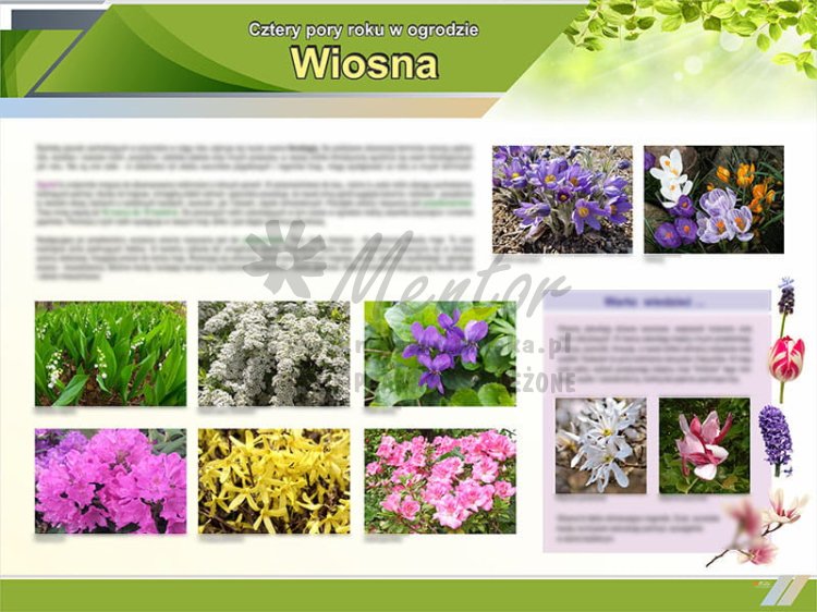 TE9-03 Wiosna w ogrodzie.jpg