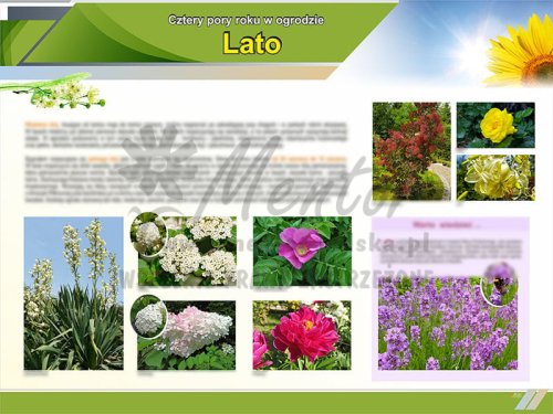 TE9-04 Lato w ogrodzie.jpg