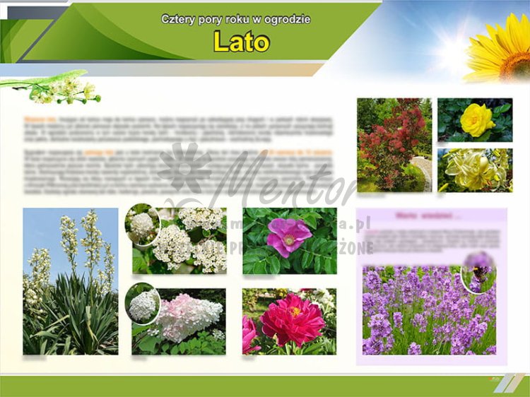 TE9-04 Lato w ogrodzie.jpg