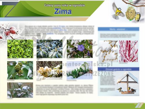 TE9-06 Zima w ogrodzie.jpg