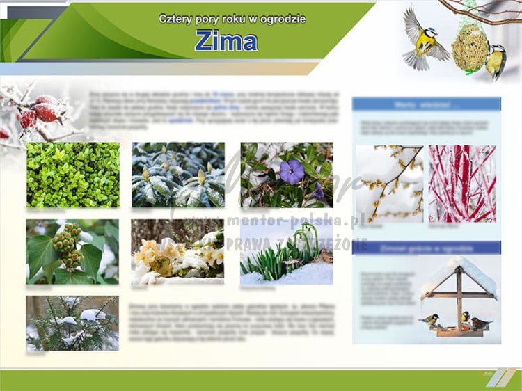 TE9-06 Zima w ogrodzie.jpg