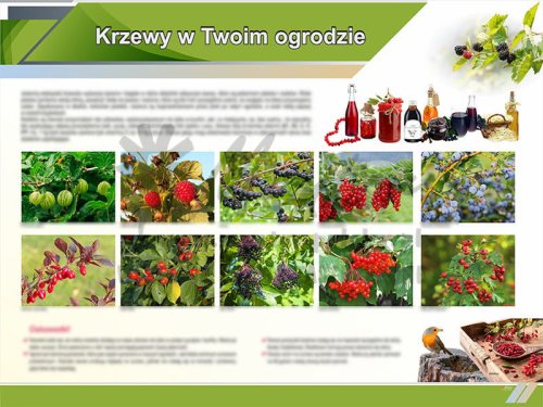 TE9-14 Krzewy w twoim ogrodzie.jpg