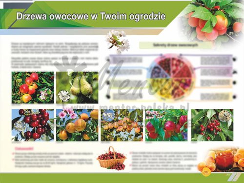 TE9-15 Drzewa owocowe w Twoim ogrodzie.jpg