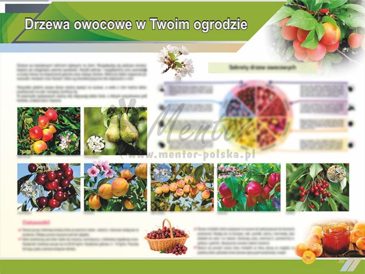TE9-15 Drzewa owocowe w Twoim ogrodzie.jpg