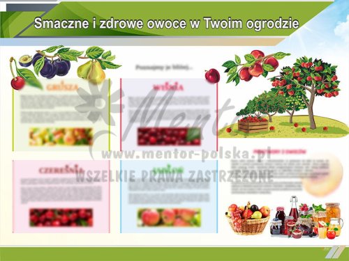 TE9-17 Smaczne i zdrowe owoce w twoim ogrodzie.jpg