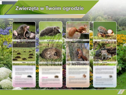 TE9-07 Zwierzęta w Twoim ogrodzie.jpg