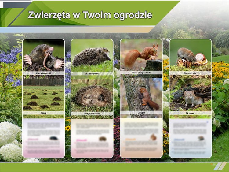 TE9-07 Zwierzęta w Twoim ogrodzie.jpg