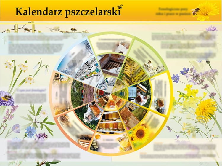 TE7-19 - Kalendarz pszczelarski.jpg