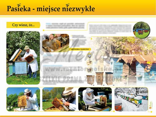 TE7-22 - Pasieka - miejsce niezwykłe.jpg