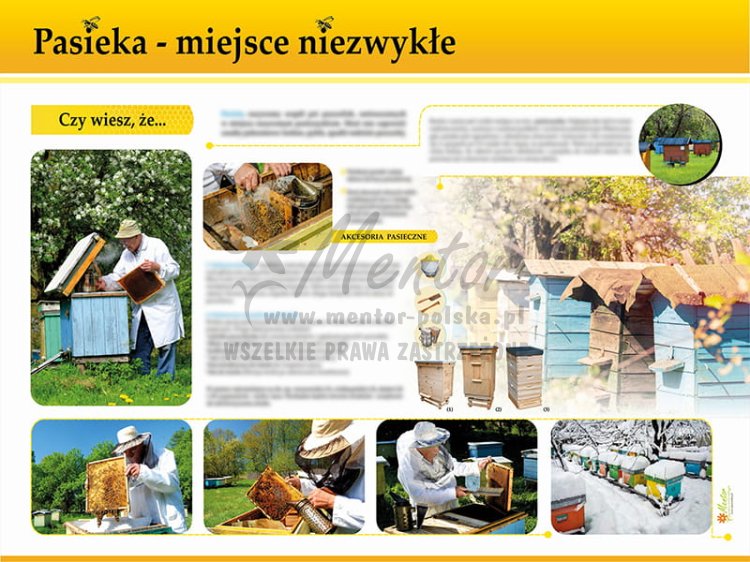 TE7-22 - Pasieka - miejsce niezwykłe.jpg