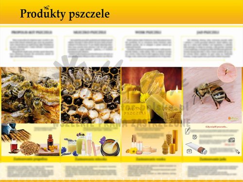 TE7-24 - Produkty pszczele.jpg