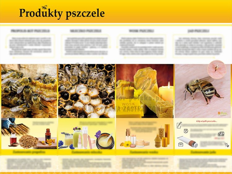 TE7-24 - Produkty pszczele.jpg