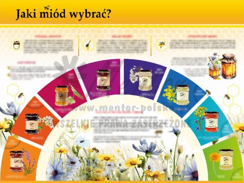 TE7-27 - Jaki wybrać miód.jpg