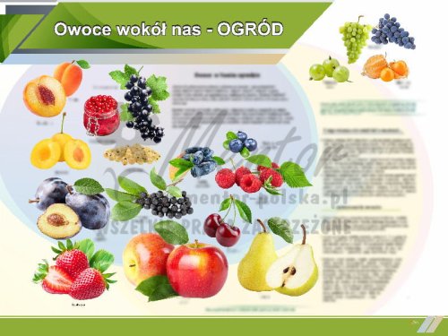 TE1-79 - Owoce wokół nas OGRÓD.jpg