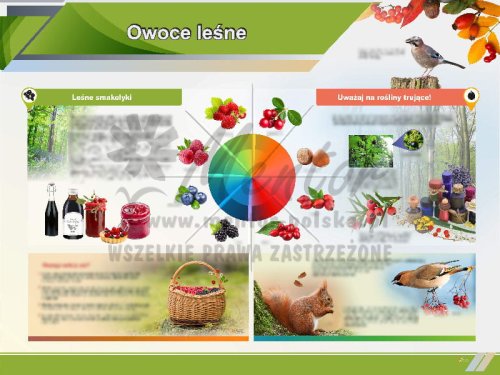 TE1-78 - Owoce leśne.jpg
