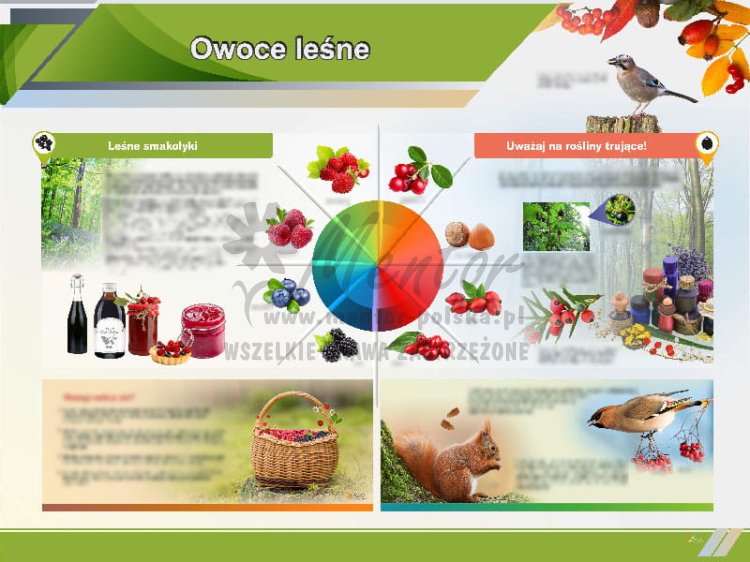 TE1-78 - Owoce leśne.jpg