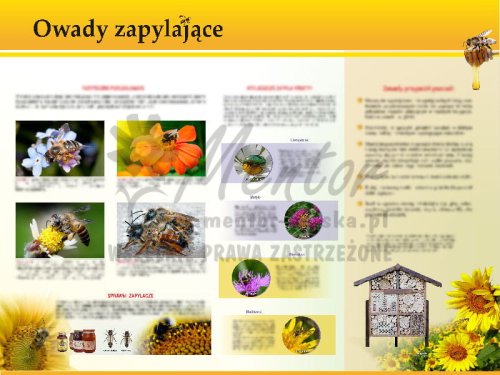 TE7-29 - Owady zapylające.jpg