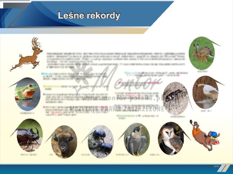 TE5-20 - Leśne rekordy.jpg