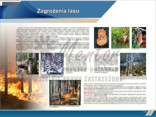 TE5-22 - Zagrożenia lasu.jpg