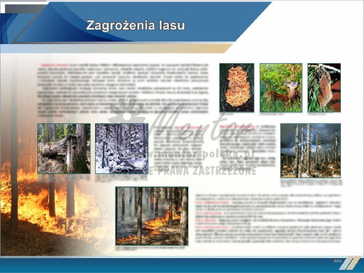 TE5-22 - Zagrożenia lasu.jpg