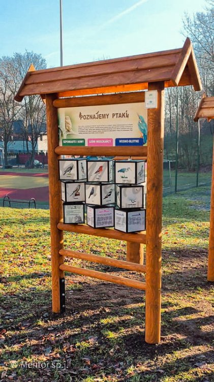 Kostki wiedzy poznajemy ptaki (1).jpg