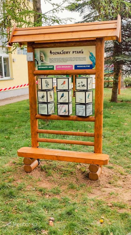 Kostki wiedzy poznajemy ptaki (2).jpg