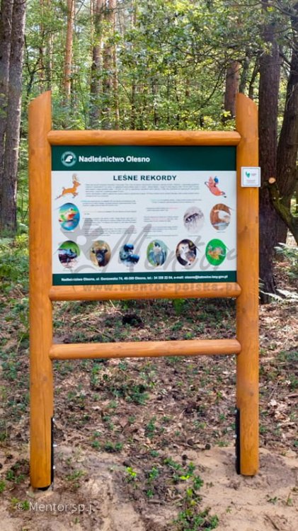 Stelaż SD11 - leśne rekordy