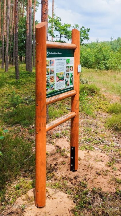 Stelaż SD11 - Martwe drewno 2.jpg