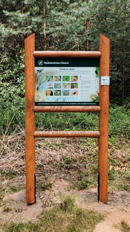 Stelaż SD11 - ptaki w lesie.jpg