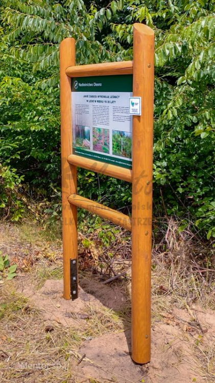 Stelaż SD11 - jakie zabiegi wykonują leśnicy 1.jpg