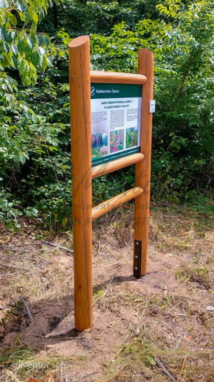 Stelaż SD11 - jakie zabiegi wykonują leśnicy 2.jpg