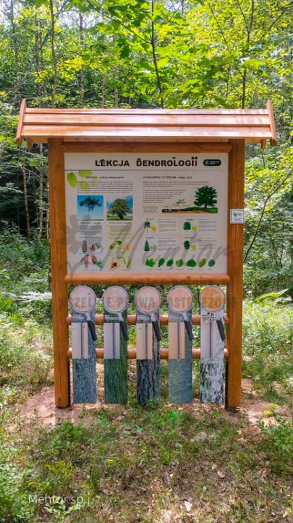 Lekcja dendrologii 2.jpg