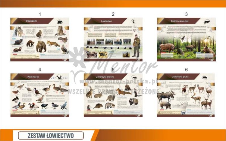 Zestaw 10 tablic łowiectwo - wizualizacja podgląd 1.jpg