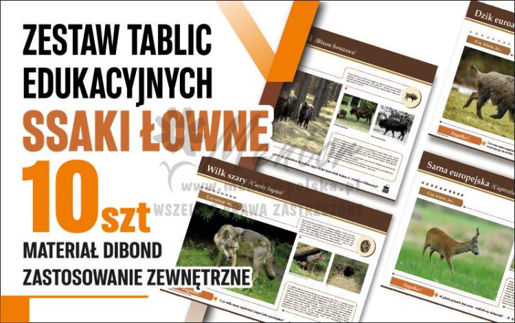 Zestaw 10 tablic ssaki łowne - główna.jpg