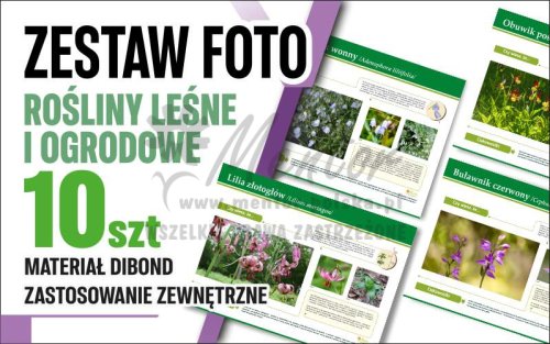 Rośliny leśne i ogrodowe - główna.jpg