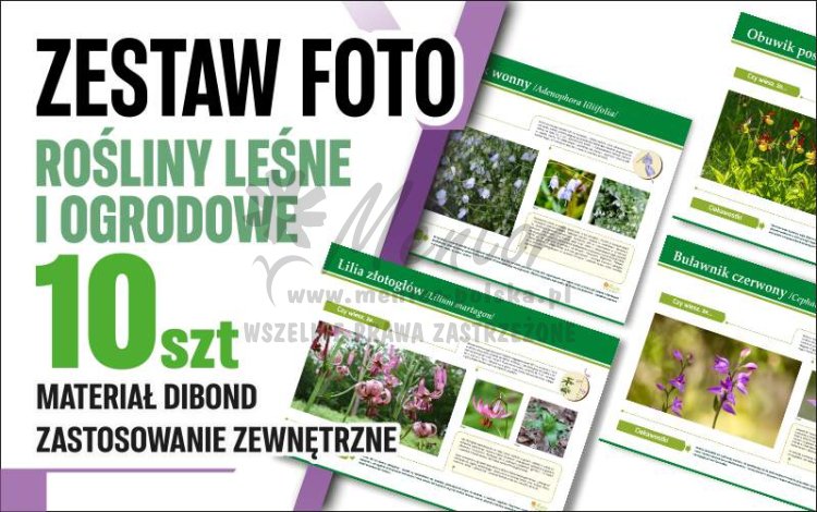 Rośliny leśne i ogrodowe - główna.jpg