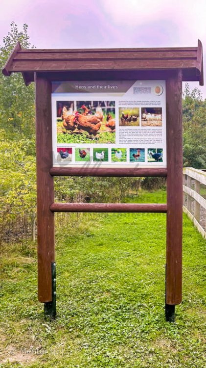 Stelaż SD21 z tablicą 1.jpg