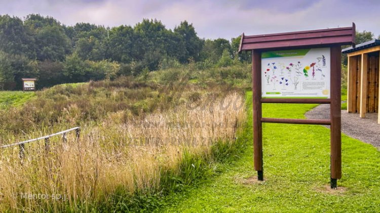 Stelaż SD21 z tablicą 3.jpg