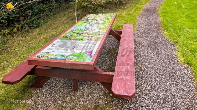 Ławostół ALI edukacyjny