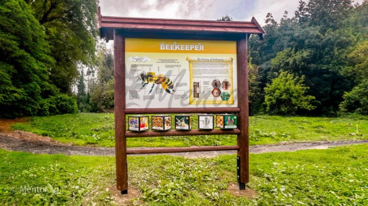 Zdobądź sprawność 1.jpg