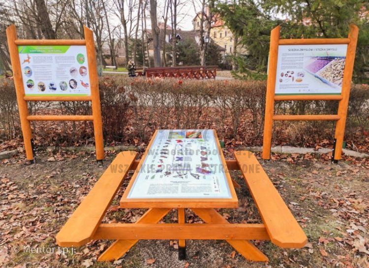 Ławostół edukacyjny model Ali