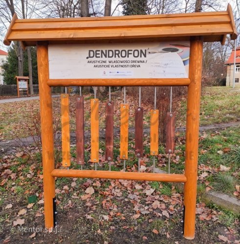 Dendrofon wersja podstawowa.jpg