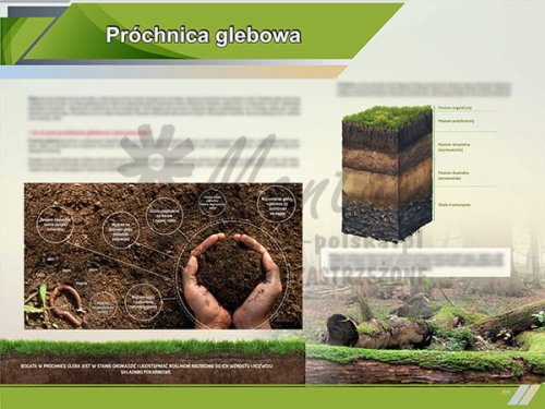 TE1-83 - Próchnica glebowa.jpg