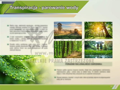 TE1-85 - Parowanie wody.jpg