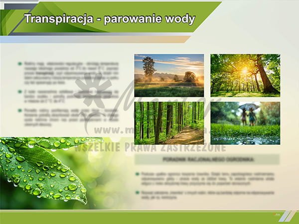 TE1-85 - Parowanie wody.jpg