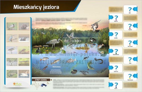 magnetyczna Mieszkańcy jeziora — kopia.jpg