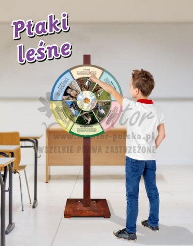 Koło wiedzy - Ptaki leśne.jpg