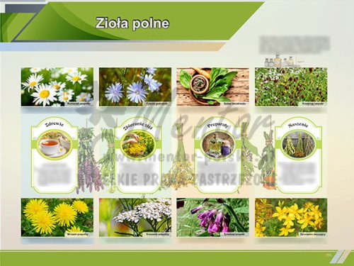 TE1-86 - Zioła polne.jpg